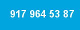 917 964 53 87 917 964 53 87